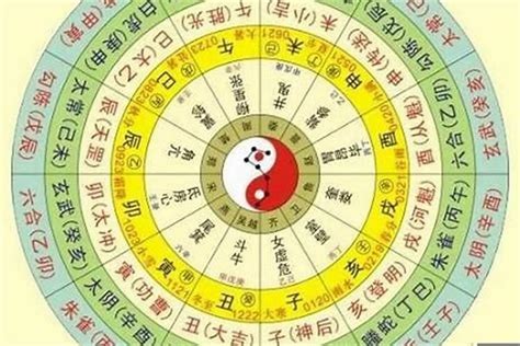 皮革 五行|皮革的五行属什么